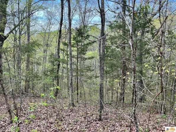 0 Burdett Rd, Edmonton, KY 42129