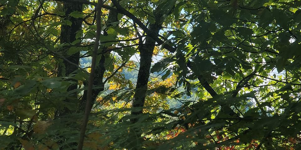 1st image of 1 Smokies Edge Rd #1