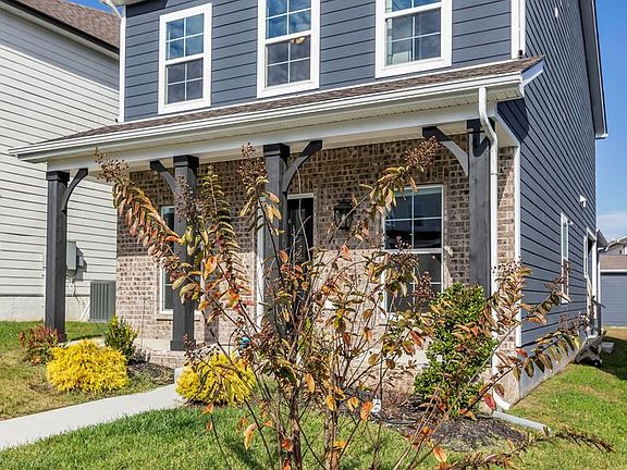 3rd image of 217 Sea Breeze Ln