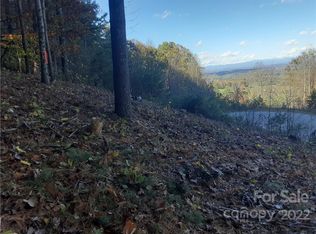 36 Carolina Buckthorn Dr UNIT 33, Leicester, NC 28748