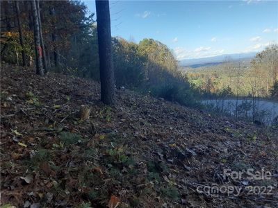 36 Carolina Buckthorn Dr UNIT 33, Leicester, NC, 28748