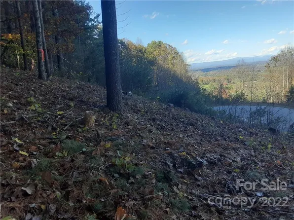 36 Carolina Buckthorn Dr Unit 33, Leicester, NC 28748