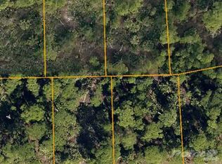 1928 Roderick Ln, Lehigh Acres, FL 33972