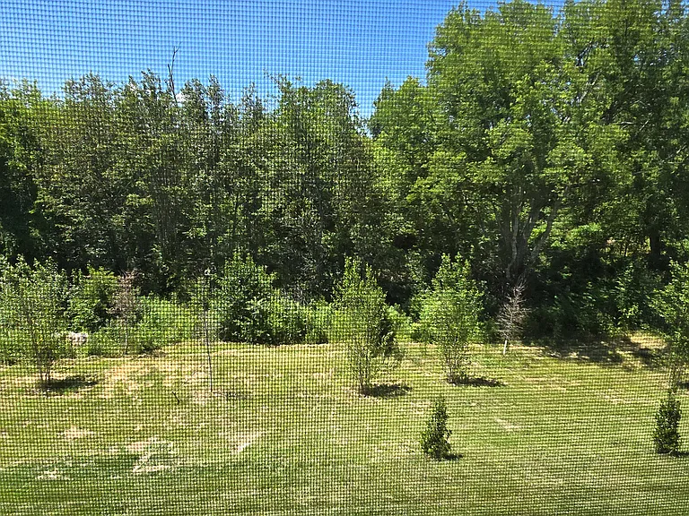 1606 Mountain Quail Cir — Photo 13