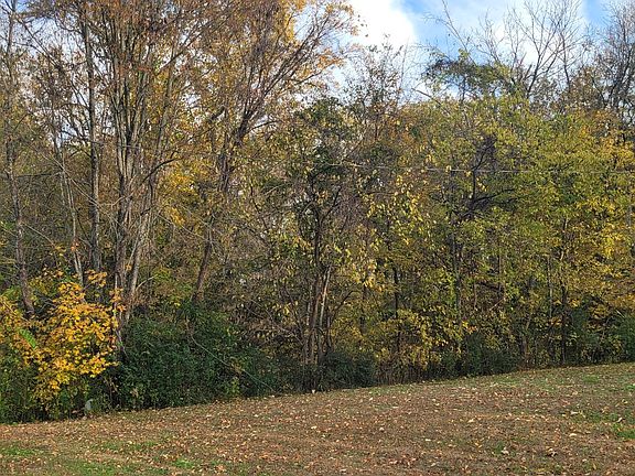 2nd image of 4698 Bennett Hollow Rd