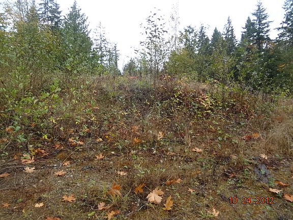 3rd image of 4228 244th Ave NE