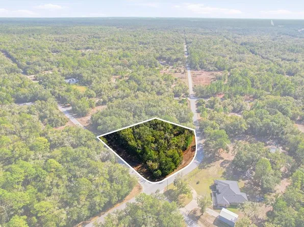 9659 N Cacalia Dr Lot 1, Crystal River, FL 34428