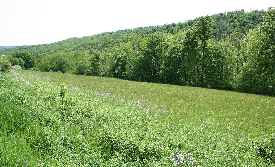 0 Foster Rd, Sabinsville, PA 16943 Zillow