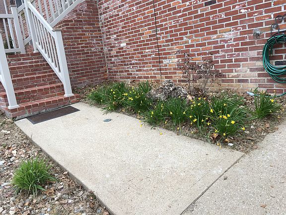 4th image of 913 Cari Ann Dr