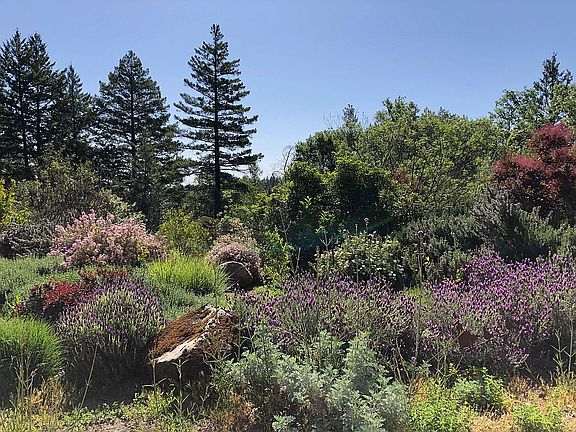 2nd image of 4018 Spring Mountain Rd