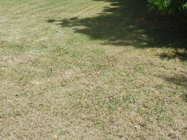 N3516 Randolph St, Columbia, SC 29203