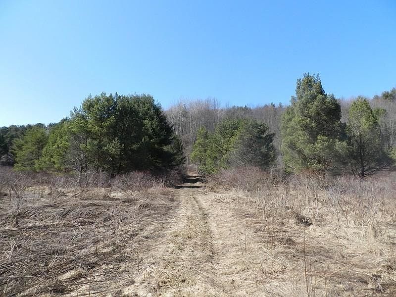 1st image of 3977 State Highway 8