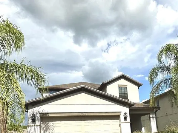 20031 Date Palm Way, Tampa, FL 33647
