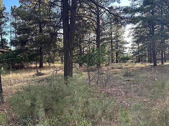 3rd image of 434 Twincreek Circle