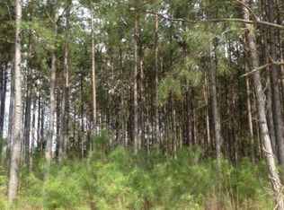 Harpole Road, Maben, MS 39750