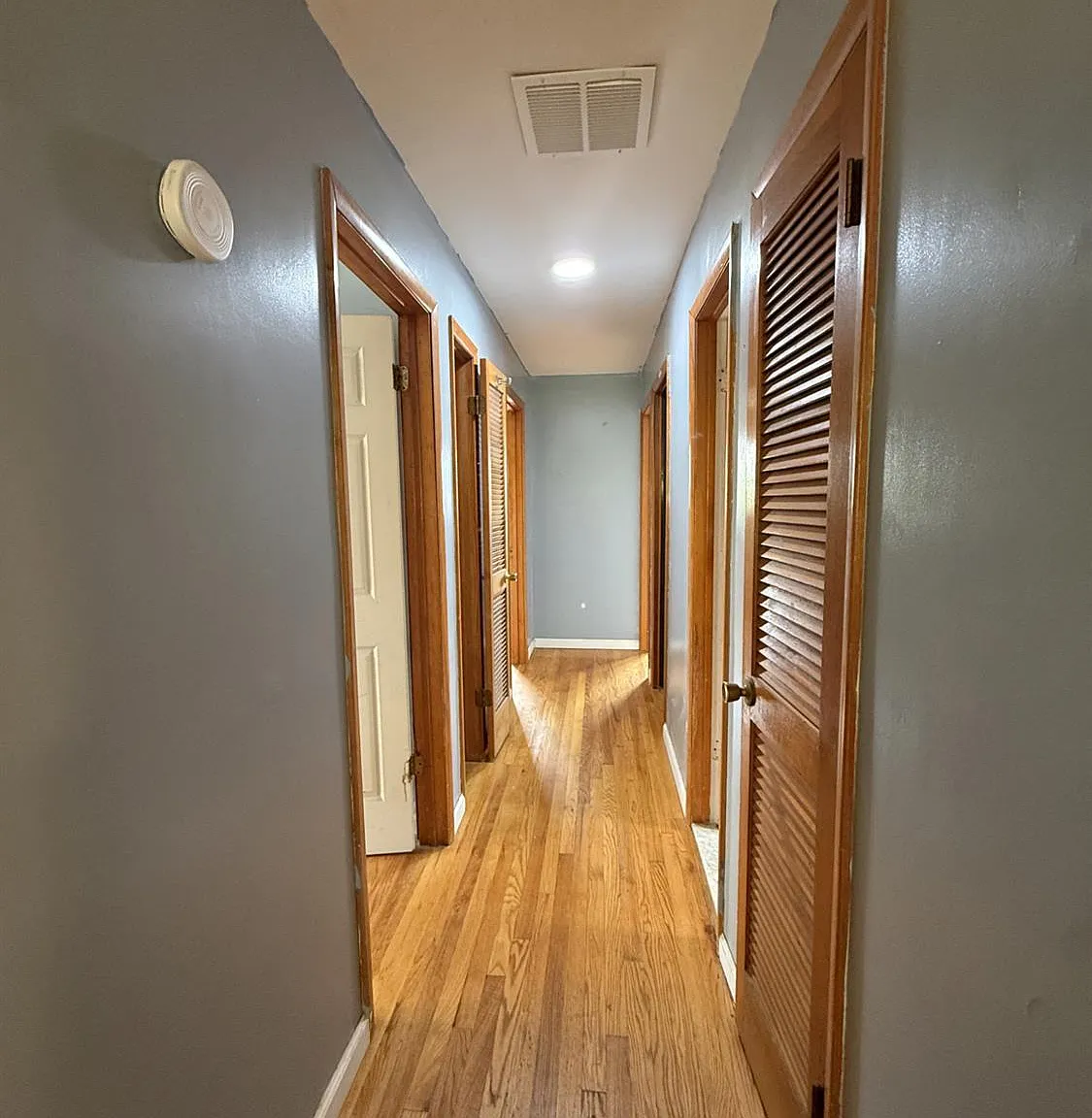 3 bed, 1.0 bath, $2,500 — Photo 4