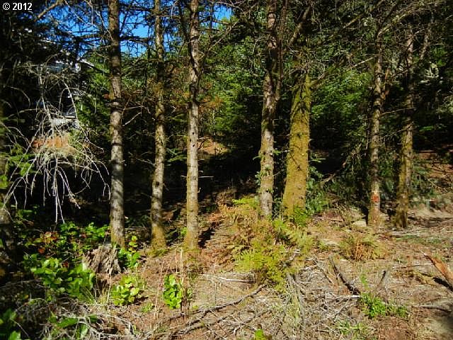 2nd image of Pine Rd
