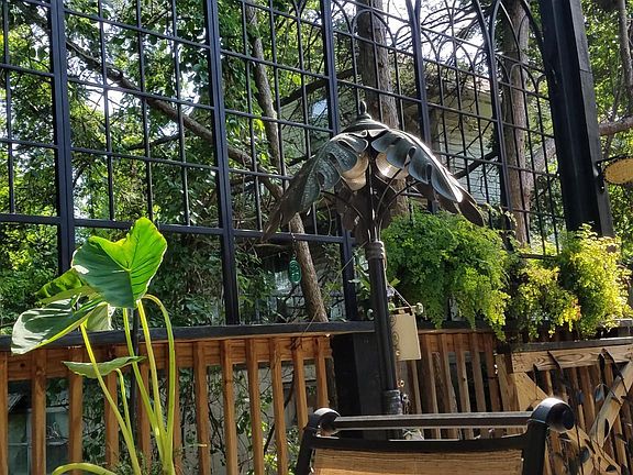 Outdoor living in back of building