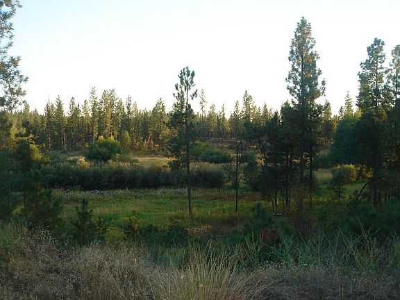 View from Building Site