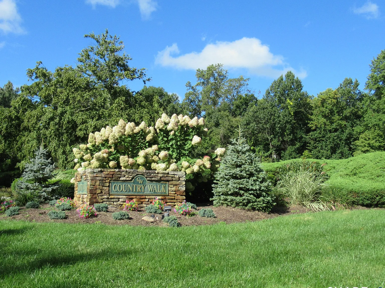 Country Walk — Photo 3