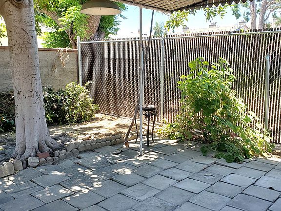 back yard