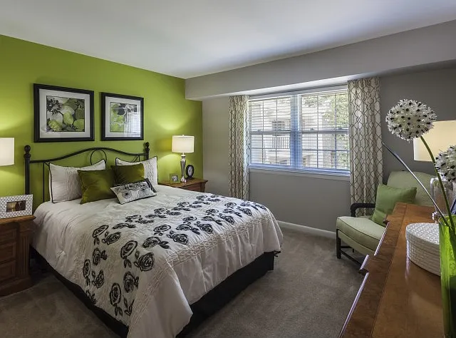 Mill Grove Apartments — Photo 10