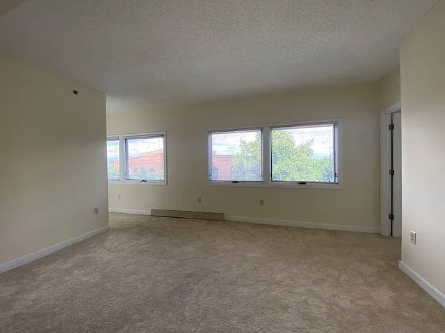Wall of windows in the living room.