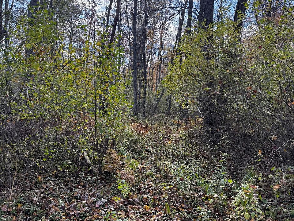1st image of Holt Rd