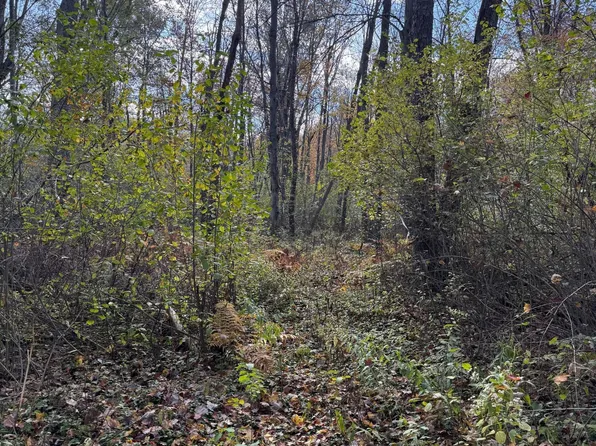 Holt Rd, Holt, MI 48842