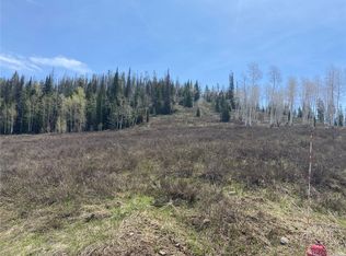 57660 Golden Tide Pl, Clark, CO 80428