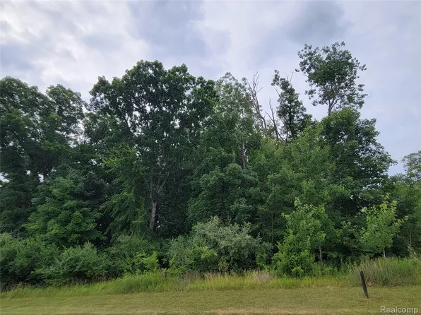 14-5972 Wyndam Ln, Brighton, MI 48116