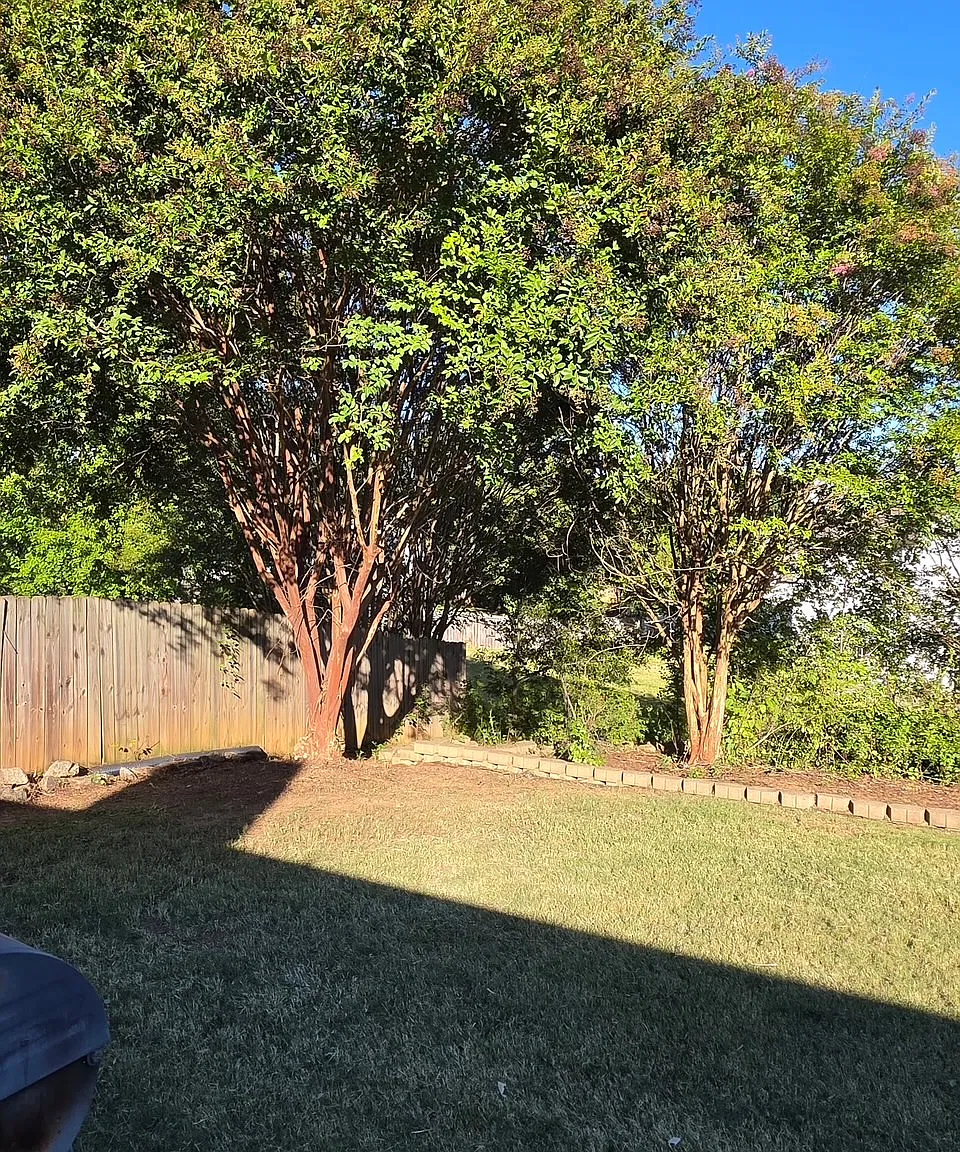 3 bed, 1335 sqft, $2,000 — Photo 4