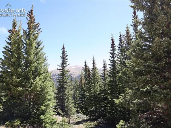 1480 Roberts Rd, Fairplay, CO 80440