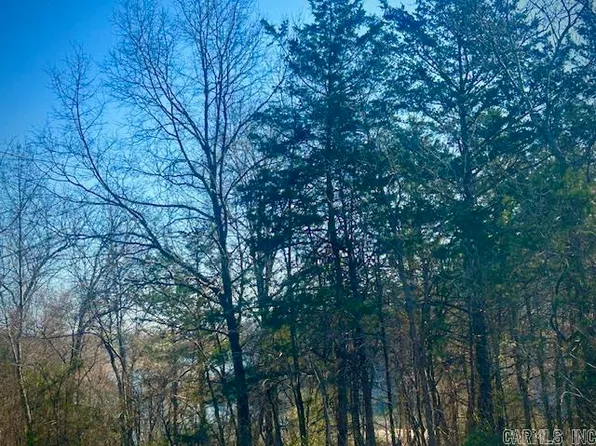 0 County Road 8060, Yellville, AR 72687