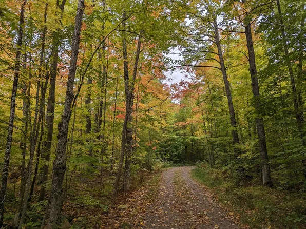 On Town Rd #40, Brantwood, WI 54513