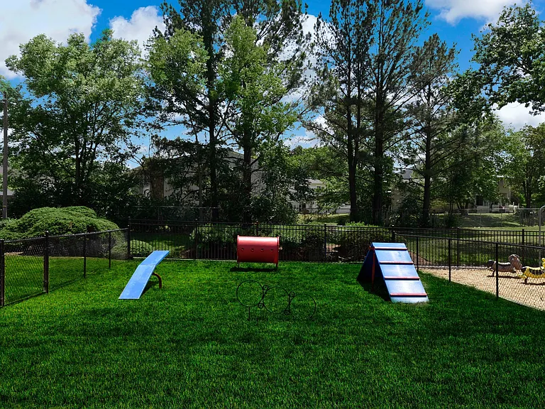 Leash Free Bark Park
