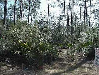 5th image of 4 Orlando Ave