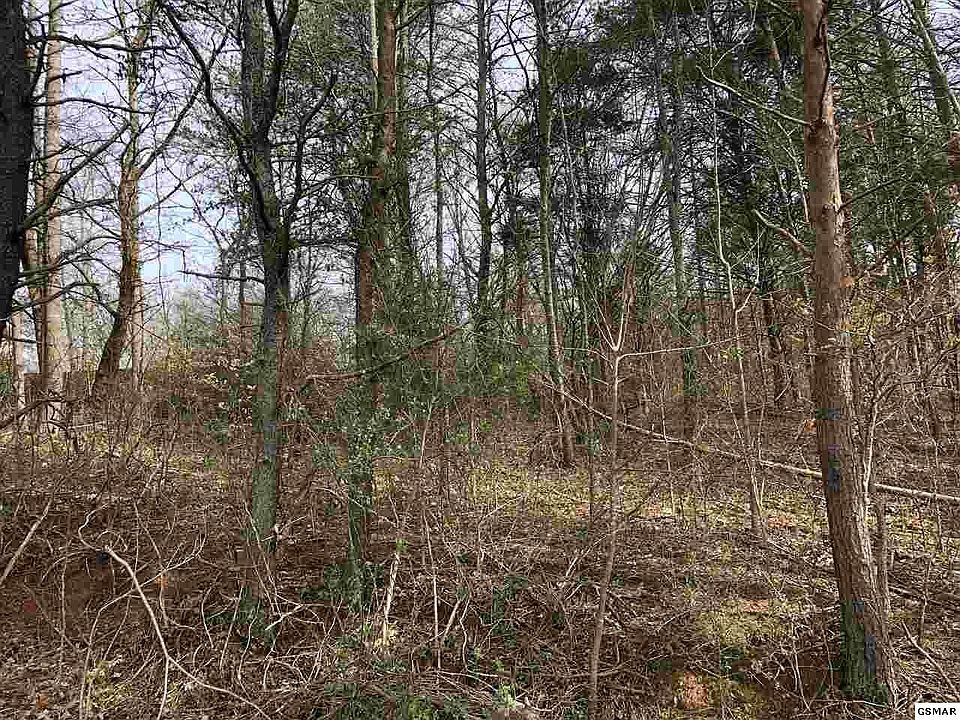 1st image of 62 Georgia Dr Lot 62