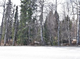 36585 Edgington Rd, Soldotna, AK 99669