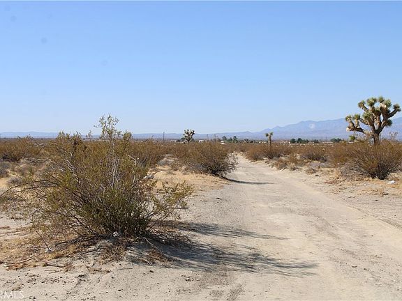 5th image of Lessing Ave