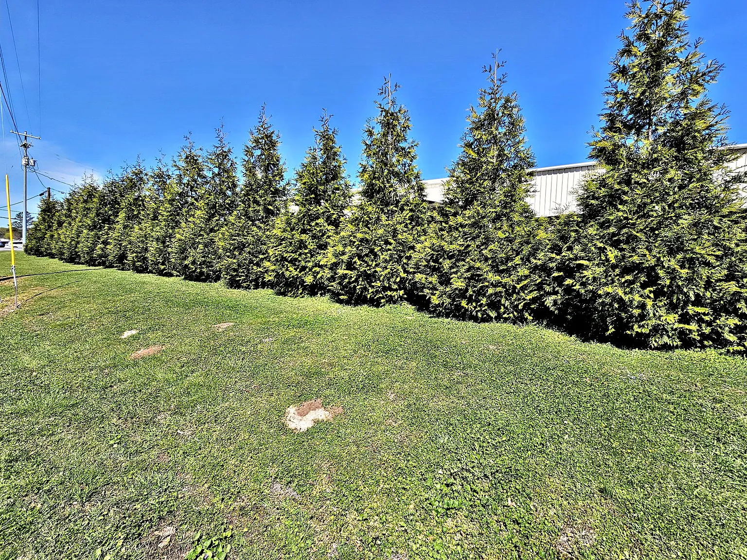Avalon Cove Townhomes — Photo 3