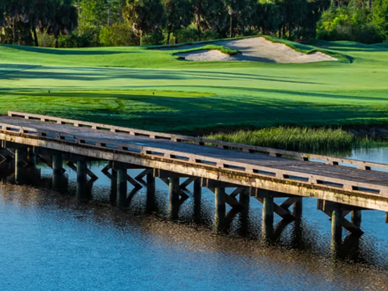 Golf anyone