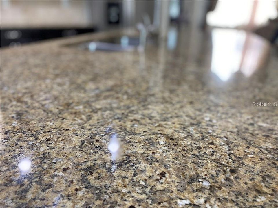 2nd image of 11924 Winterset Cove Dr