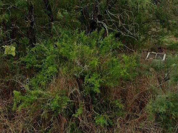 5th image of 302 County Rd