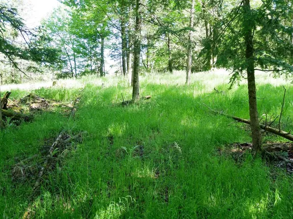 +/-5.75 Acres COUNTY ROAD M, Medford, WI 54451