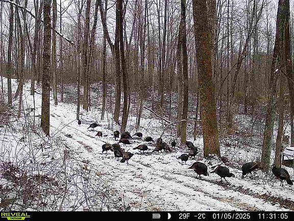 3rd image of 0 Dutch Ridge Rd SE