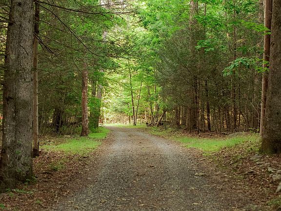 2nd image of 28 Mrs Franks Road