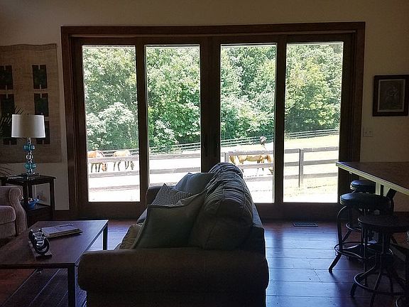 Ponies right outside !