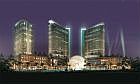 Blue Rose Night view