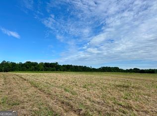 221 Hamil Rd, Griffin, GA 30223